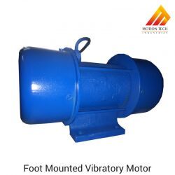 Vibratory Motors