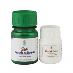 Bunch n Bloom microbial plant yield booster