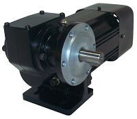 FHP AC INDUCTION WORM GEARED MOTOR