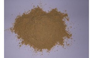 dehydrated ginger powder