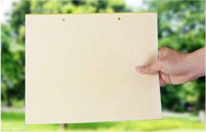 Yellow Sticky Trap 20cm*25cm