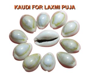 KAUDI (11 PIECES) FOR LAXMI PUJA
