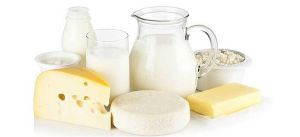 dairy products