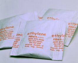 ethylene sachets