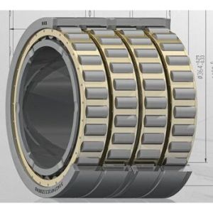 multi row cylindrical roller bearings