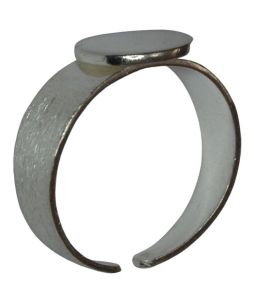 Silver Brushed Ring