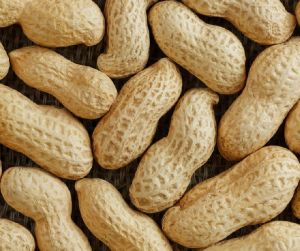 Shelled Groundnuts