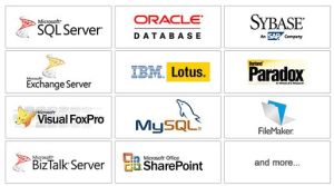Database Recovery &amp; File Repair Services
