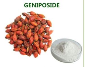 Gardenoside natural plant extract