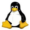 Linux Red Hat Courses