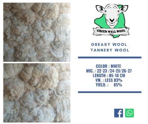 Greasy Wool