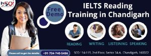 IELTS Reading Training Services