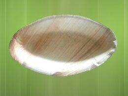 6 Inch Areca Leaf Oval Plate