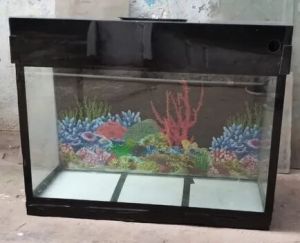 Fish Tank