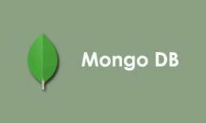 MongoDB Certification Training Service