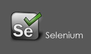 Selenium Online Training Service