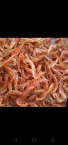 Dry Shrimps prawns