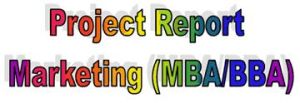 Customized Project Reports