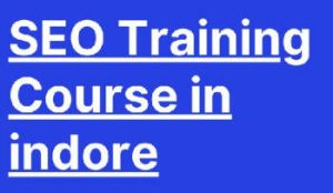 Advance SEO Training In Indore