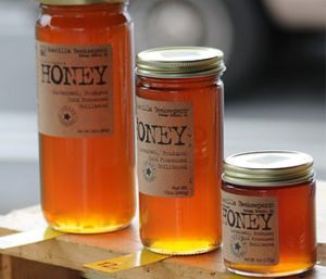 Honey Bottle Labels