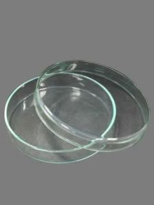 Laboratory Petri Dish