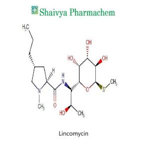 Lincomycin API