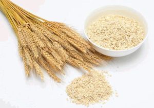 WHEAT GERM OIL