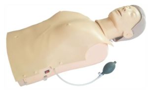 CPR Training Manikin
