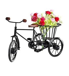 Wrought Iron Cycle Rickshaw