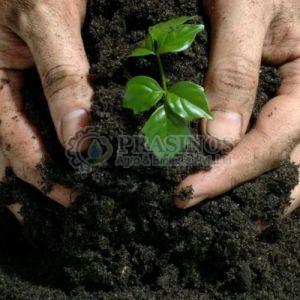 Organic Bio Fertilizer