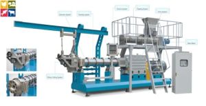 Twin Screw Extruder