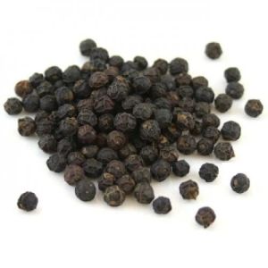 Black Pepper Seeds