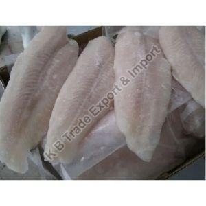 Frozen Pangasius Fish