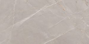 Lumix Grey High Gloss Vitrified Tile