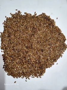 Flax Seeds