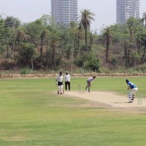 Complete Cricket Ground Development Service