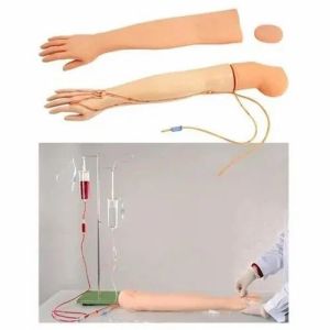 Adult IV Training Arm Model