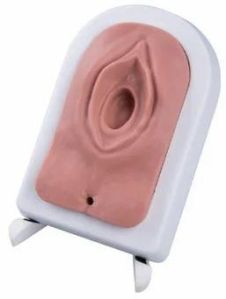 Episiotomy Suturing Mannequin Model