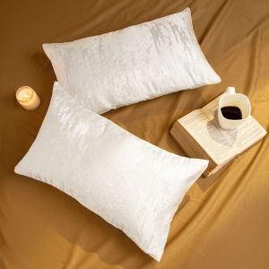 Elegant White Cushion Cover