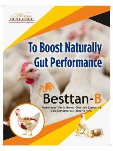 Besttan B Poultry Feed Supplement