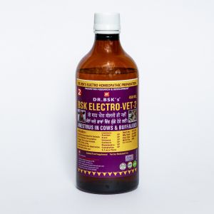 Dr. Bsk Electro VET-2 Syrup