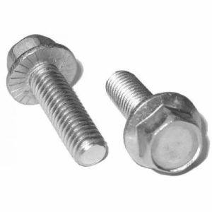 Stainless Steel Flange Bolt