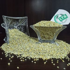 Bulk Quantity Green Millet