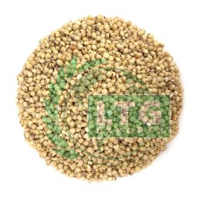 Premium quality sorghum feed
