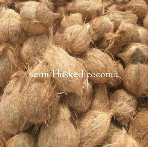 semi husked coconuts