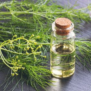 fennel seed oil