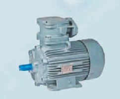 Flameproof Motor