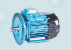 TEFC Flange Motor