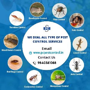 Pest control services in Chennai
