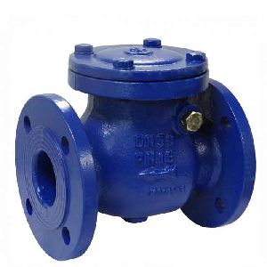 Cast Iron Swing Type Bolted Cover Check Valve